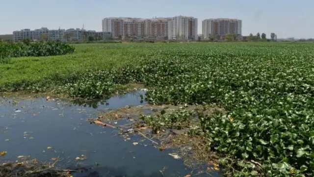 مياه بجانب أرض زراعية