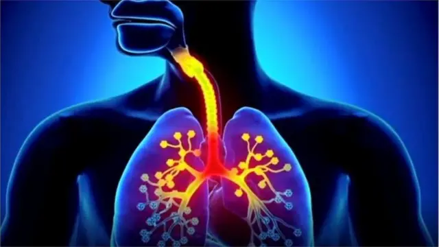 ఇది సైనస్, మెదడు, ఊపిరితిత్తులను ప్రభావితం చేస్తుంది