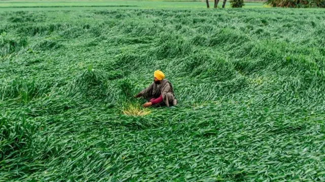 விவசாயி