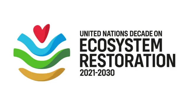 पर्यावरण दिन