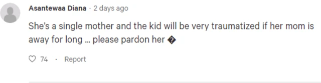 Free Akuapem Poloo Petition