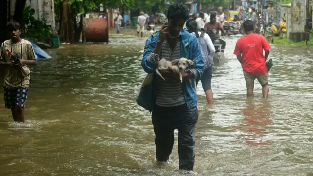 పెంపుడు జంతువును చేతుల్లో పట్టుకుని వెళుతున్న వ్యక్తి
