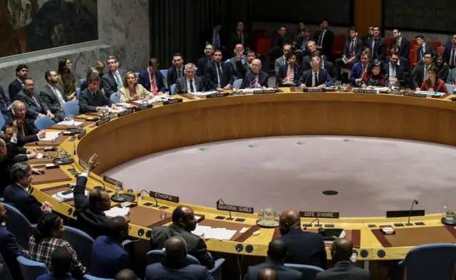 Consejo de Seguridad de la ONU