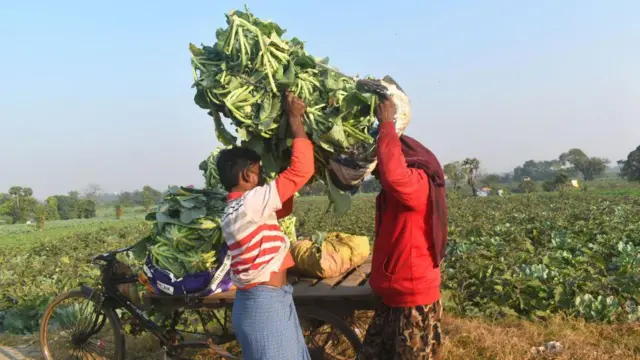 બીબીસી ગુજરાતી બજેટ 2025 નાણામંત્રી સીતારમણ બેરોજગારી અર્થતંત્ર