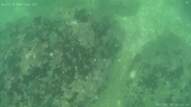 மாமல்லபுரம், மகாபலிபுரம் ஆய்வு, கடலடி ஆய்வு, தொல்லியல் ஆய்வு, இந்திய தொல்லியல் துறை 