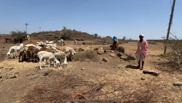 बाबू तोरवे 