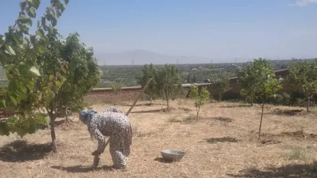 یک زن