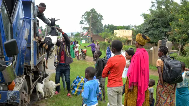 Des Ougandais sautent du camion pour se réfugier dans l'école située à la frontière de la République démocratique du Congo (RDC) suite à l'offensive militaire contre les ADF à Ntoroko, en Ouganda.