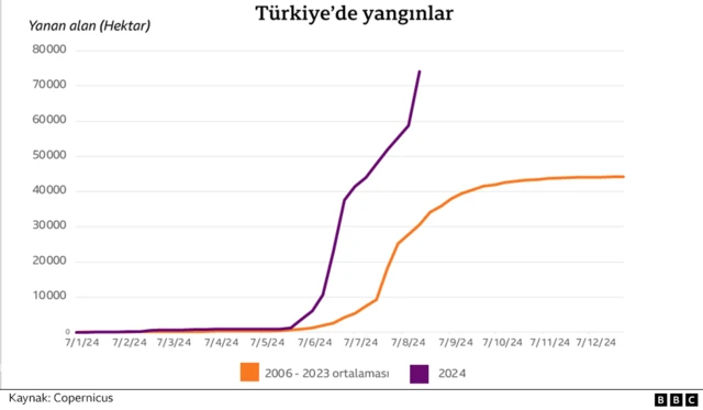 Türkiye'de yangınlar grafiği