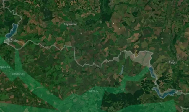 карта DeepState, маленькие плацдармы ВСУ в Курской области, возле Горнали и Олешни