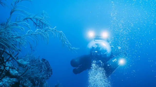 Submarino descendo pelo Buraco Azulfutebol e casa de apostasBelize, aindafutebol e casa de apostaslocal com águas claras e vegetação aquática