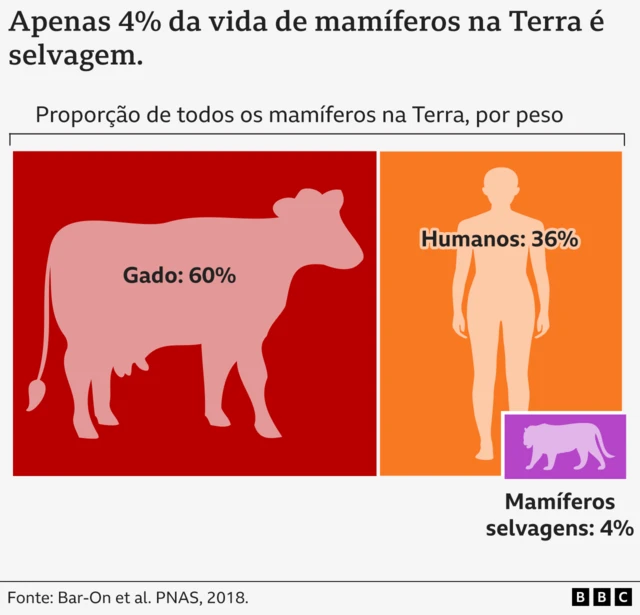 Gráfico mostrando a proporção de mamíferos na Terra em peso (ou biomassa) - 60% animais domésticos, 36% humanos e 4% mamíferos selvagens.