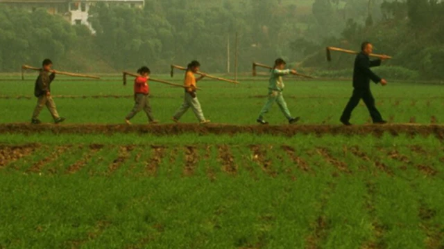 كيف يواجه العالم مشكلة نقص المياه وتأثيرها على إنتاج المحاصيل؟