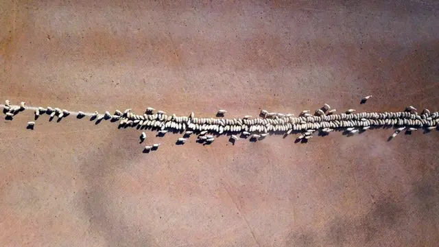 ऑस्ट्रेलिया में सूखा