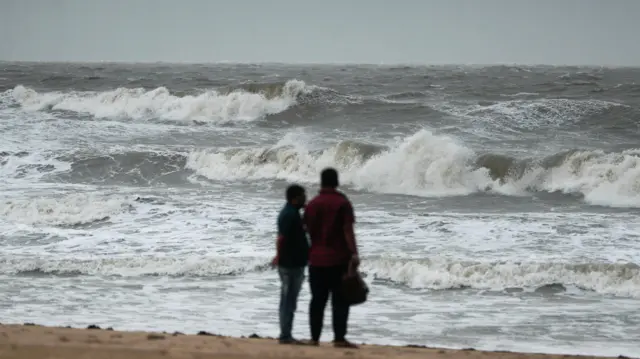समुद्री छाल हेर्दै मानिसहरू