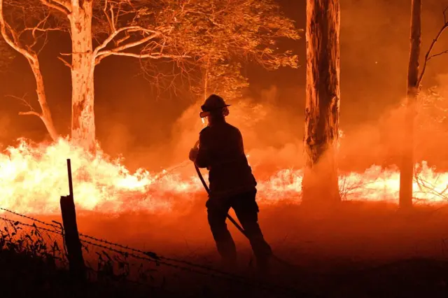 Пожежник знищує дерева і тліюче вугілля