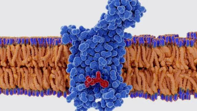 генетичне редагування