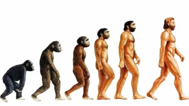 эволюция теориясы