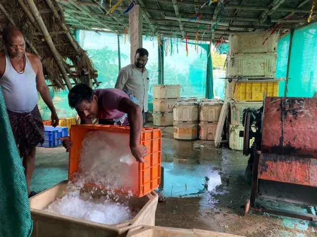 मछली के व्यापारी