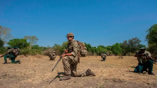 Opération de pistage des braconniers