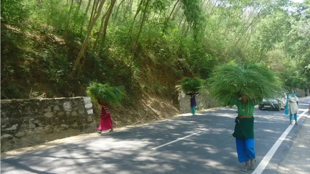 उत्तराखंड