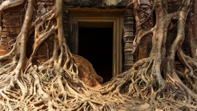 Prasat Pram is a vine-strangled resthouse