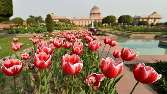 મુઘલ ગાર્ડન, રાષ્ટ્રપતિ ભવન