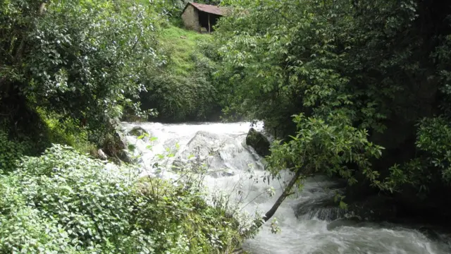 शिवपुरी-नागार्जुन राष्ट्रिय निकुञ्जभित्र एक नदी
