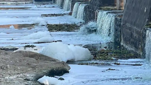 જેતપુર સાડી ઉદ્યોગ, પોરબંદરની ખાડીમાં પાણી પ્રદૂષણ, જળપ્રદૂષણ, ભાદરમાં પાણી પ્રદૂષણ, લોકોને ચામડીના રોગો, જેતપુર સાડી ઉદ્યોગ ખેતીને અસર, બીબીસી ગુજરાતી ગ્રાઉન્ડ રિપોર્ટ