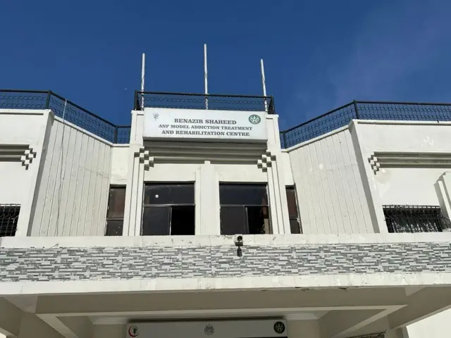 పాకిస్తాన్, టెర్రరిజం, భారత్, సినిమా