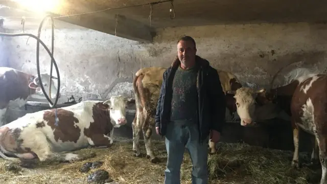 Mališa Ilić sa kravama, Jakovac, Knjaževac, 2020.