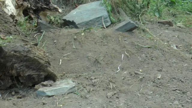 इंशा की कब्र