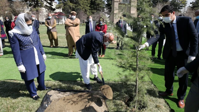 ولسمشر غني