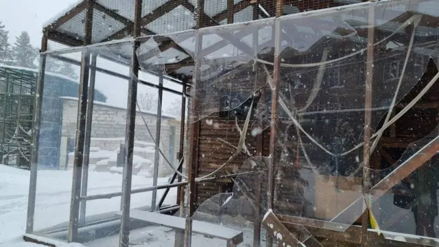 Наслідки обстрілів