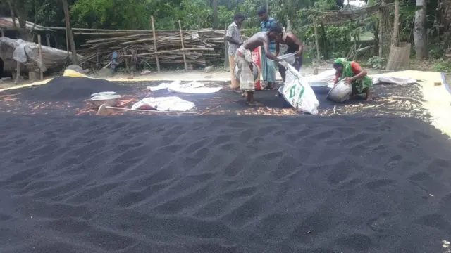 চলছে পেঁয়াজের বীজ মাড়াইয়ের কাজ(ফাইল ছবি।)