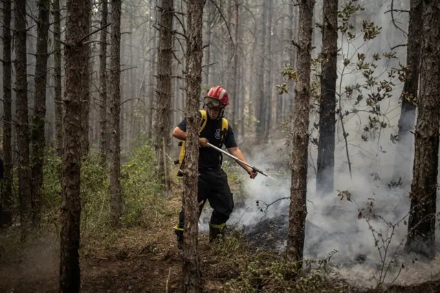 požari u srbiji, požar u deliblatskoj peščari, gašenje požara
