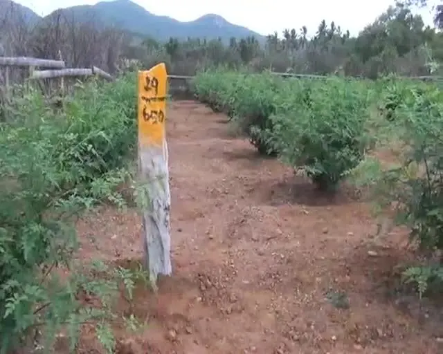 சேலம்-சென்னை 8 வழிச்சாலையை எதிர்க்கும் கட்சிகளுக்கு களப்பணி செய்ய தயார் - விவசாயிகள்