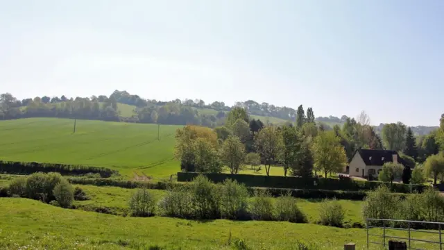 Село Камамбер