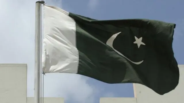 पाकिस्तान का झंडा