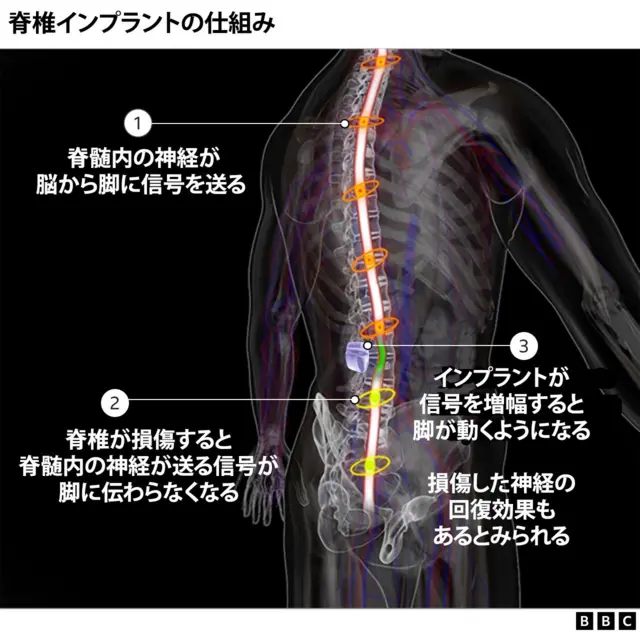 男脚組 