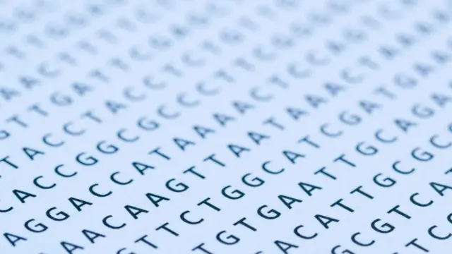 รูปอักษรลำดับเบส