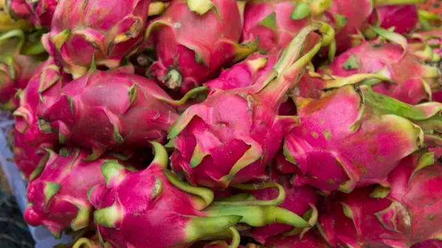 டிராகன் பழம்