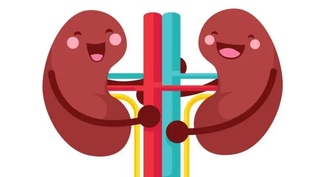 સાંકેતિક તસ્વીર