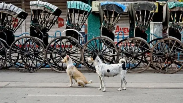 કોરોના વાઇરસ