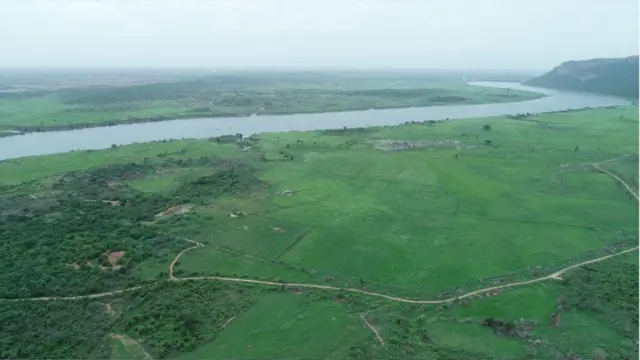 పంట పొలాలు