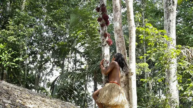 Índios Yawanawá