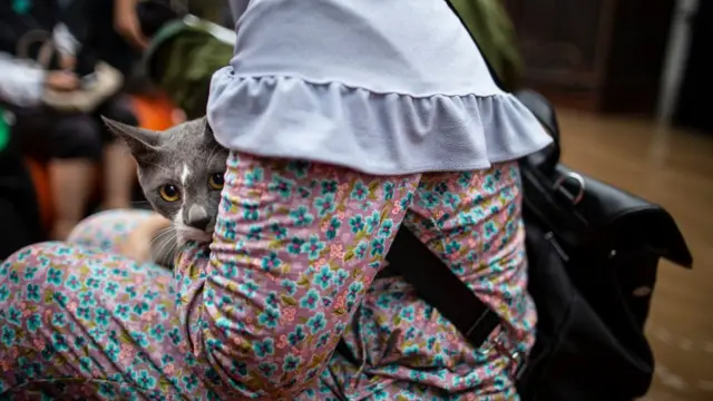 banjir, jakarta, banjir jakarta