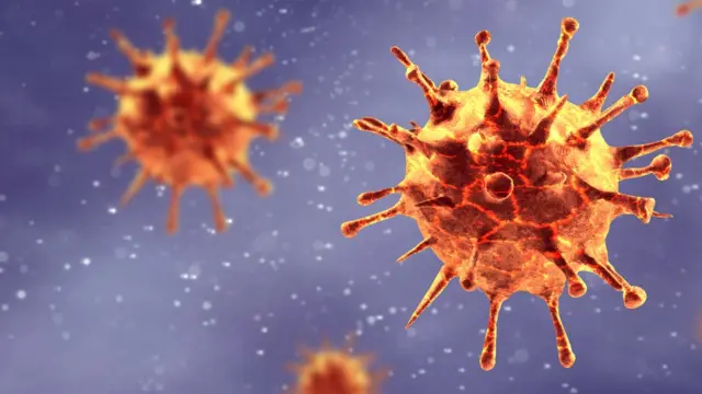 Coronavirus