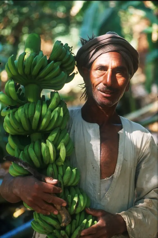 موزکار مصری