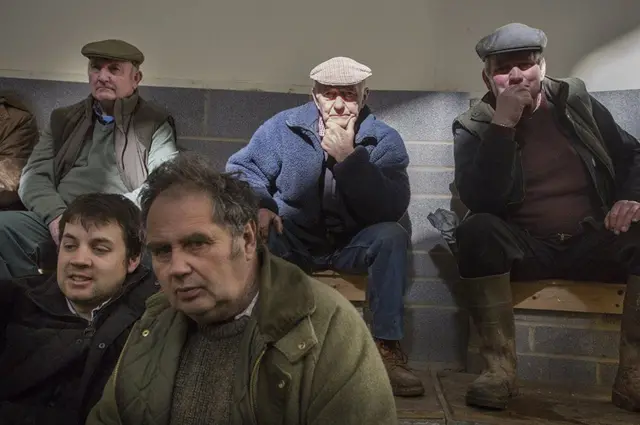 سوق الماشية